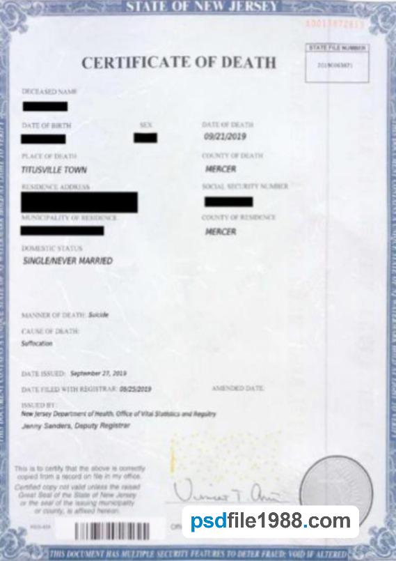 USA Office of Vital Statistics and Registry Death Certificate